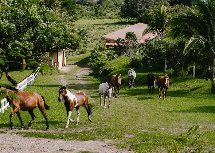Vida Aventura Ranch Mini-hôtel
