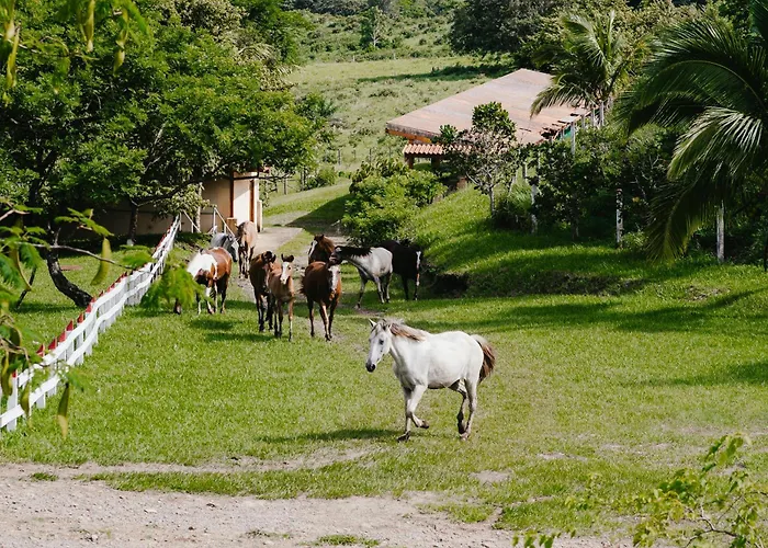 Mini-hôtel Vida Aventura Ranch